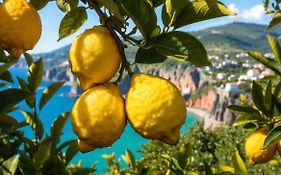 Luxe Sur Mer B&B Sorrento